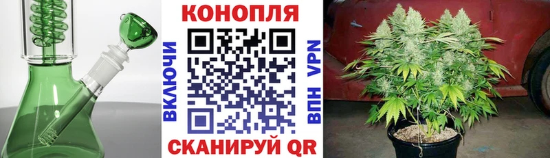 Наркота Шумерля Марихуана  Псилоцибиновые грибы  ГАШ  Кокаин 