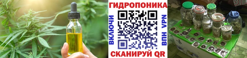 OMG зеркало  где купить наркоту  Шумерля  Cannafood марихуана 