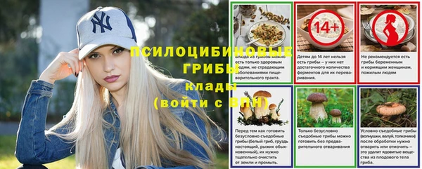 хмурый Осташков