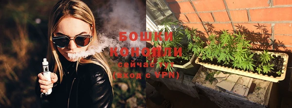 хмурый Осинники