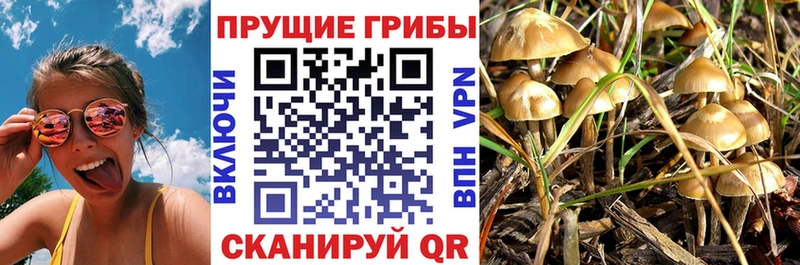 Псилоцибиновые грибы прущие грибы  Шумерля 