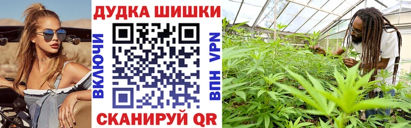 наркотики  mega вход  Каннабис сатива  Шумерля 